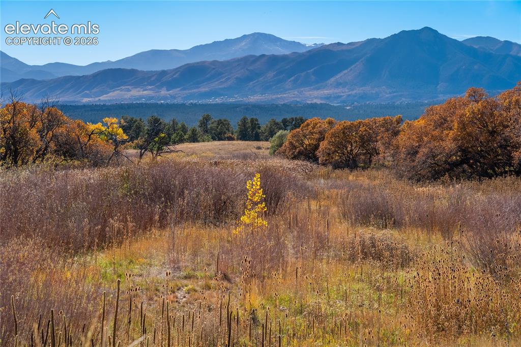 1070 Kelso Place Colorado Springs CO 80921