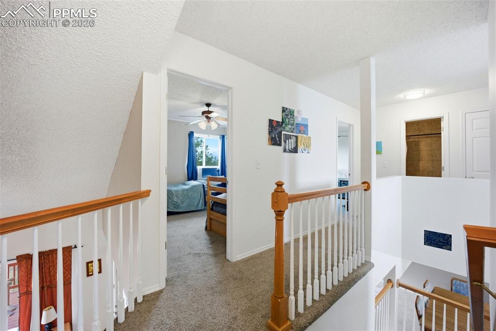 8260 Ravenel Drive Colorado Springs CO 80920