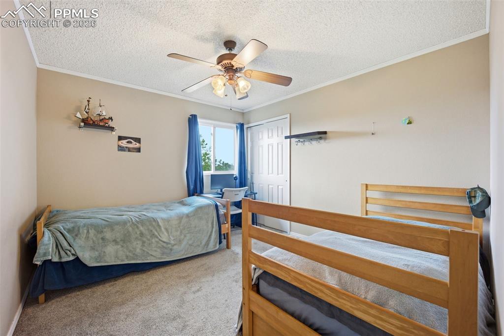 8260 Ravenel Drive Colorado Springs CO 80920
