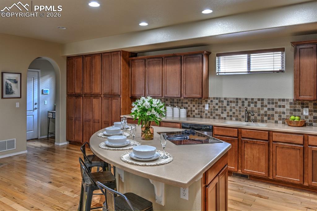 254 S Raven Mine Drive Colorado Springs CO 80905