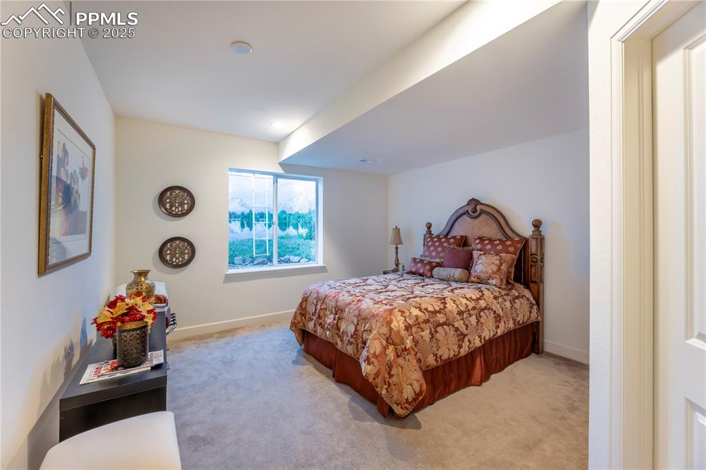 3695 New Haven Circle Castle Rock CO 80109