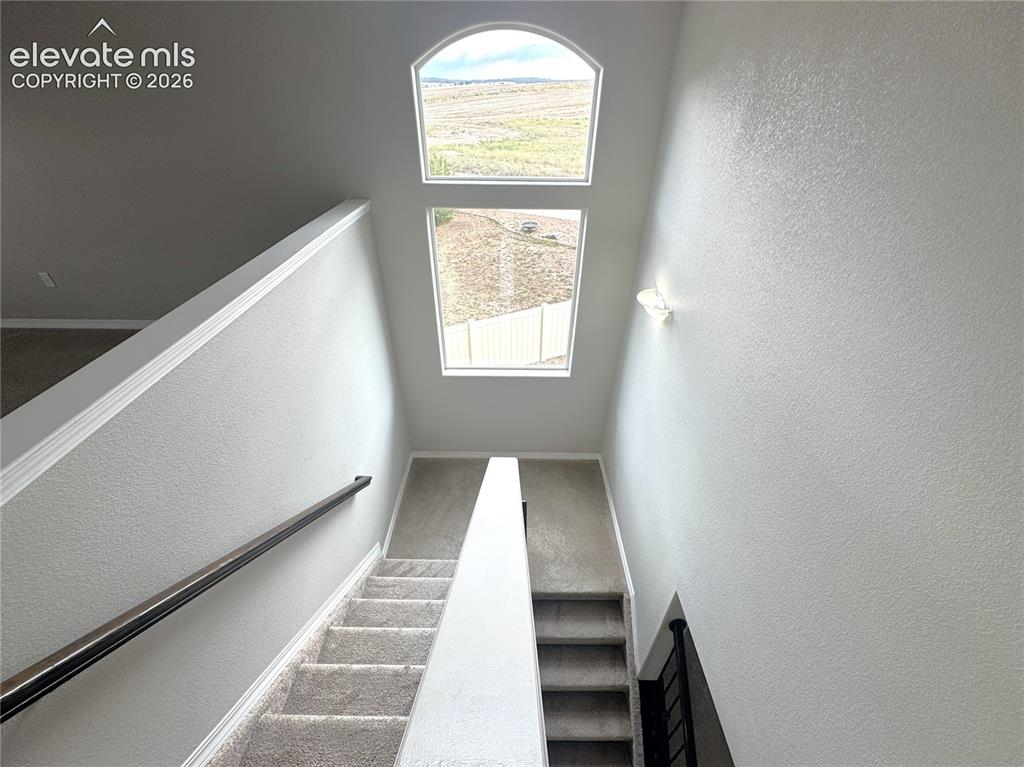 7295 Cedar Brush Court Colorado Springs CO 80908
