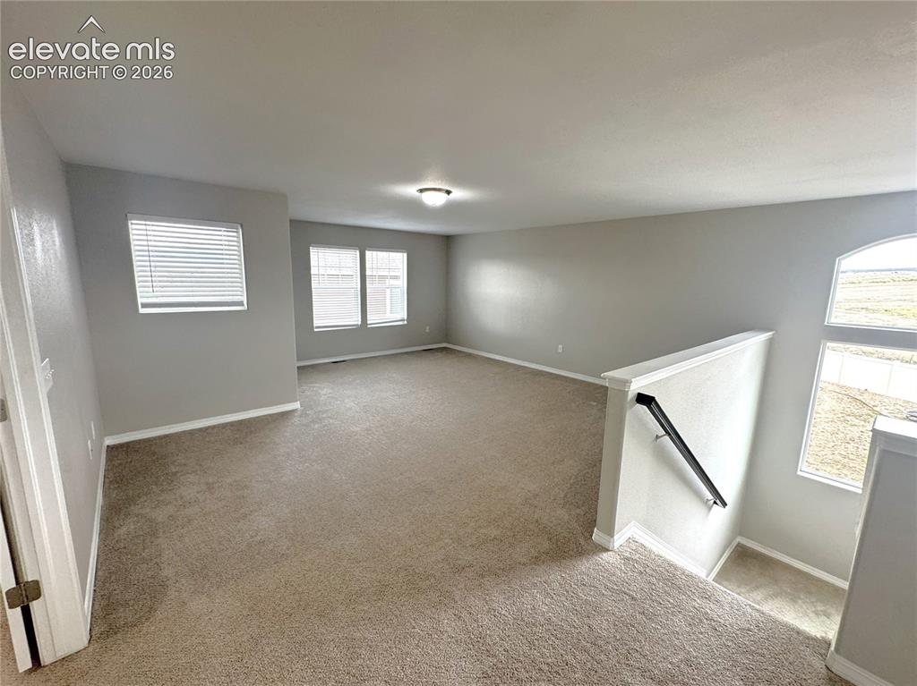 7295 Cedar Brush Court Colorado Springs CO 80908