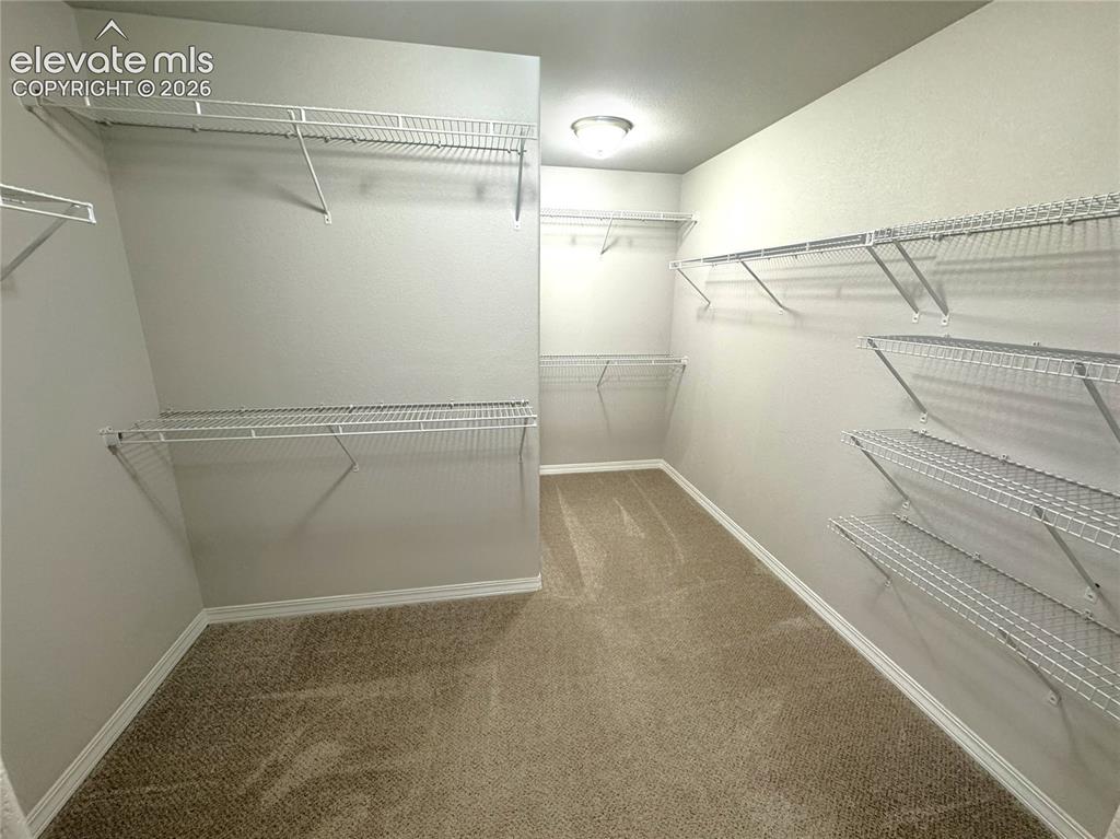 7295 Cedar Brush Court Colorado Springs CO 80908