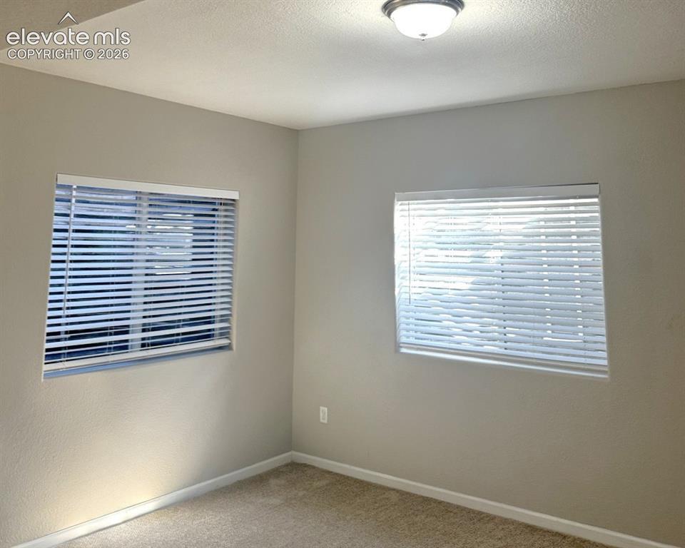 7295 Cedar Brush Court Colorado Springs CO 80908