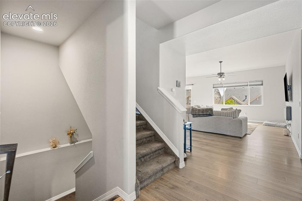 6987 Fauna Glen Drive Colorado Springs CO 80927
