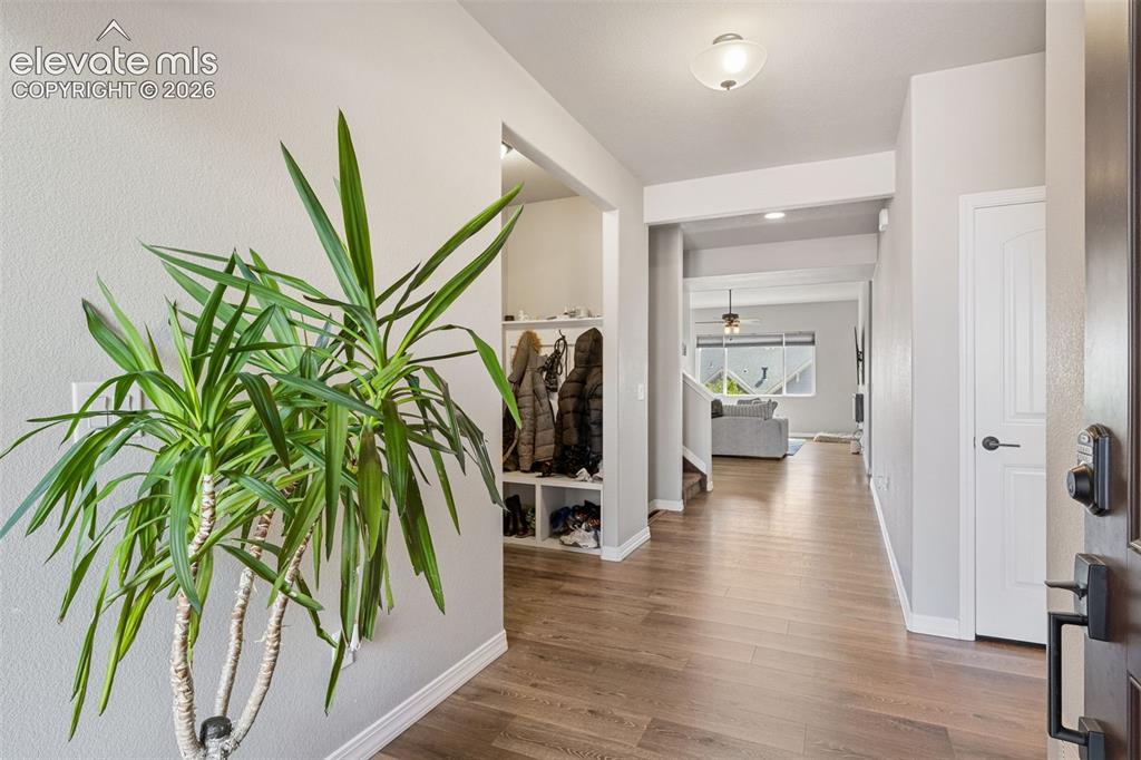 6987 Fauna Glen Drive Colorado Springs CO 80927