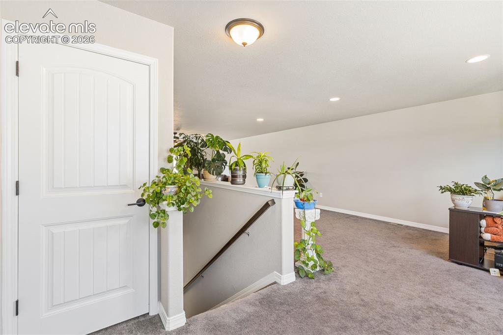 6987 Fauna Glen Drive Colorado Springs CO 80927