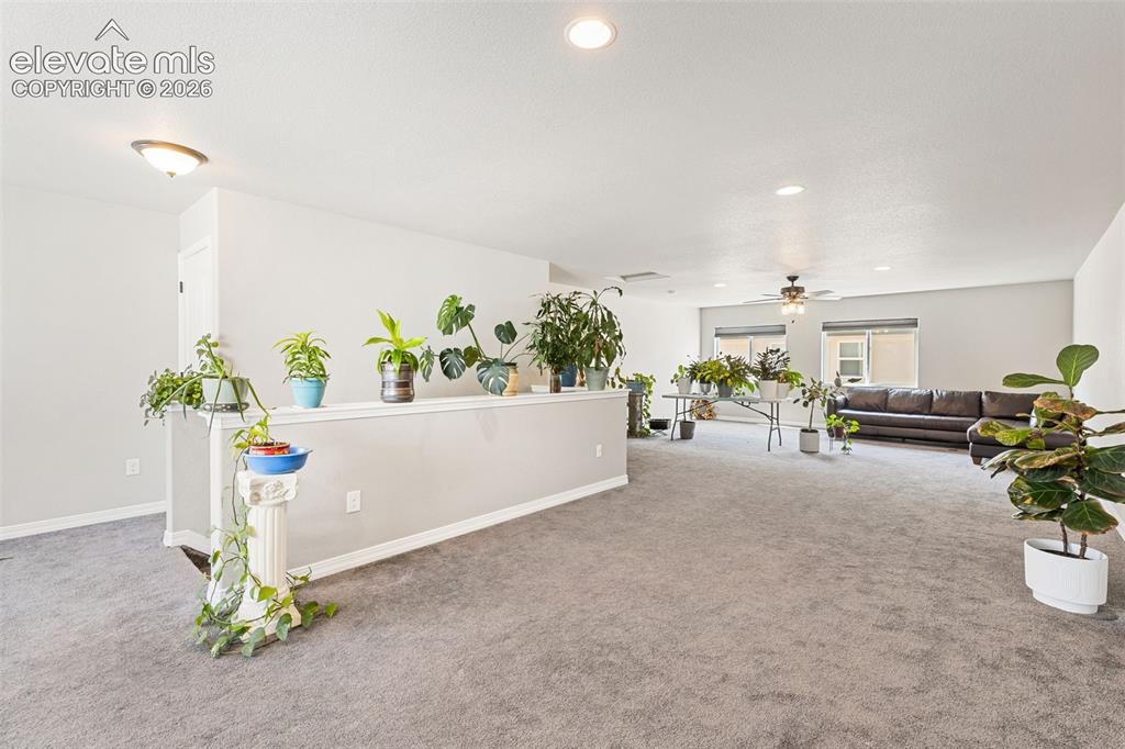 6987 Fauna Glen Drive Colorado Springs CO 80927