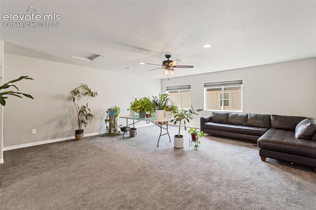 6987 Fauna Glen Drive Colorado Springs CO 80927