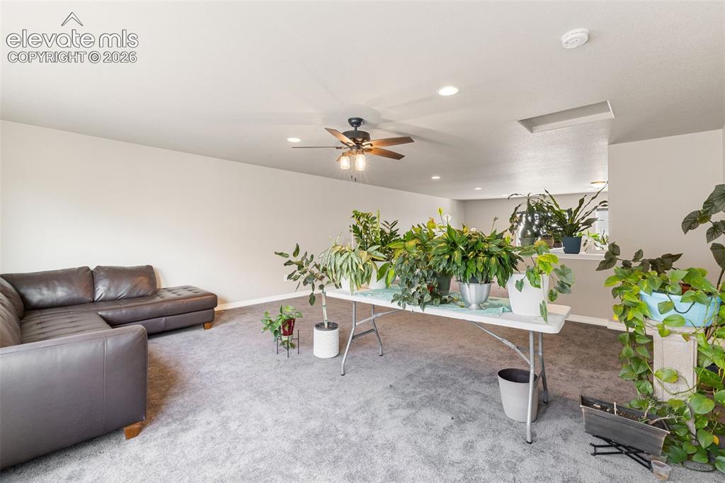 6987 Fauna Glen Drive Colorado Springs CO 80927