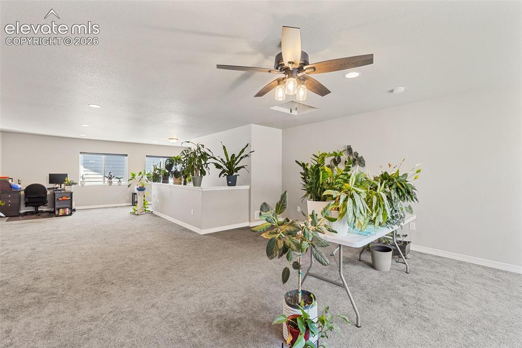 6987 Fauna Glen Drive Colorado Springs CO 80927