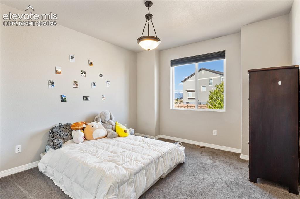 6987 Fauna Glen Drive Colorado Springs CO 80927