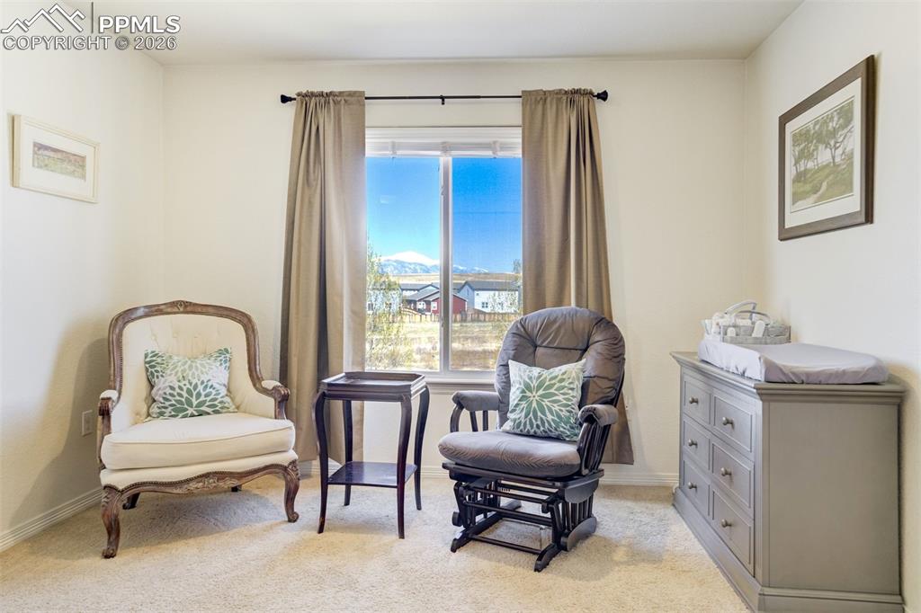 6296 Bearcat Loop Colorado Springs CO 80925