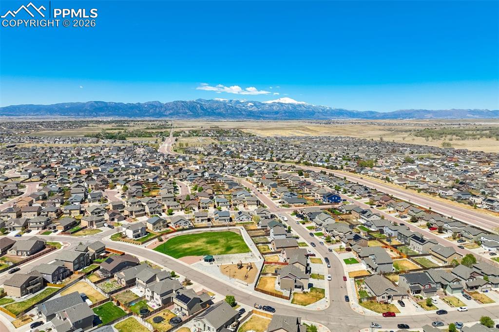 6296 Bearcat Loop Colorado Springs CO 80925