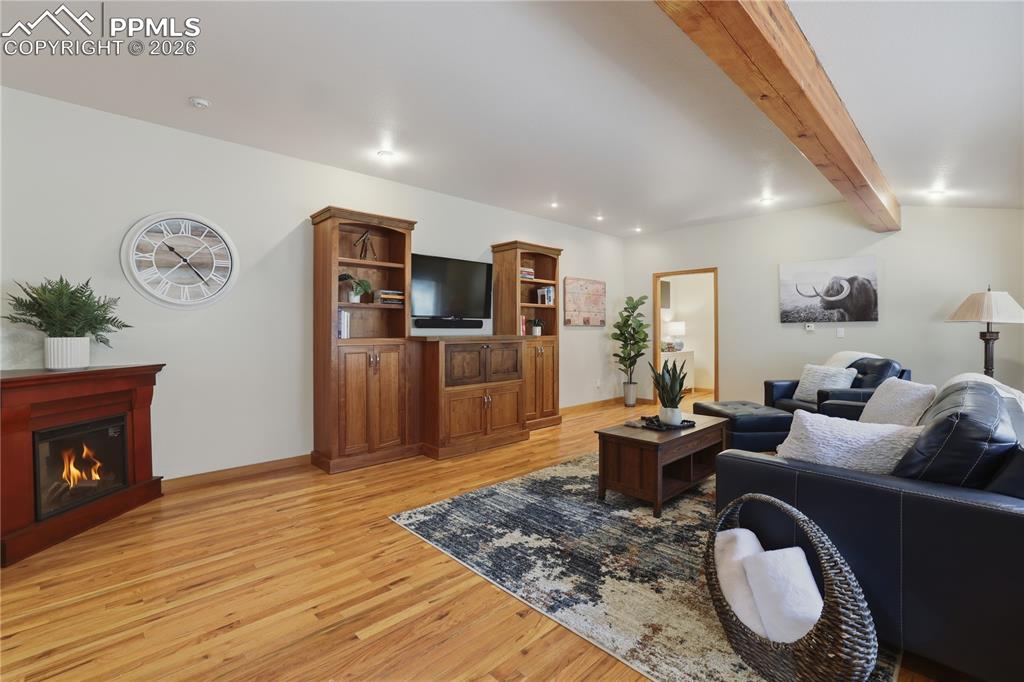 580 Sunny Glen Court Woodland Park CO 80863