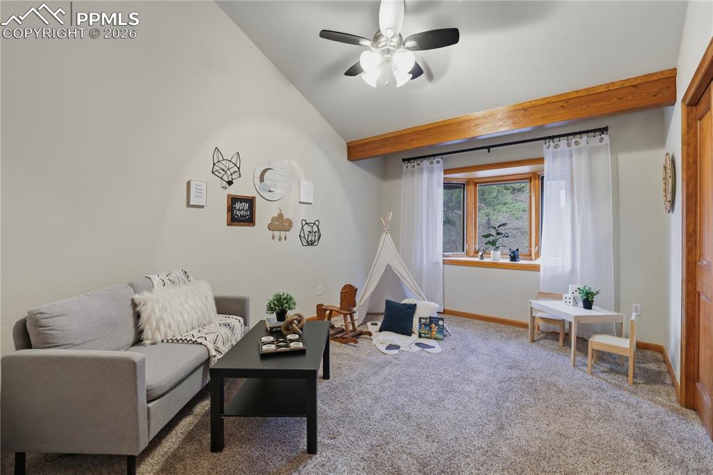 580 Sunny Glen Court Woodland Park CO 80863
