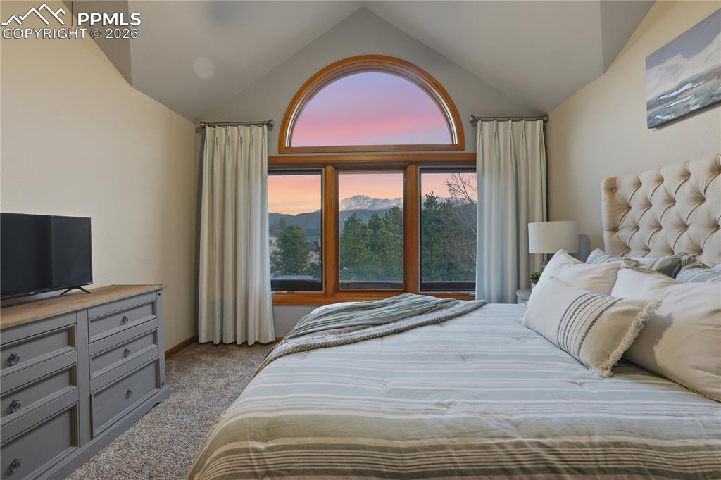580 Sunny Glen Court Woodland Park CO 80863