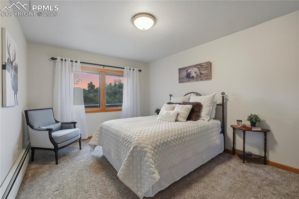 580 Sunny Glen Court Woodland Park CO 80863