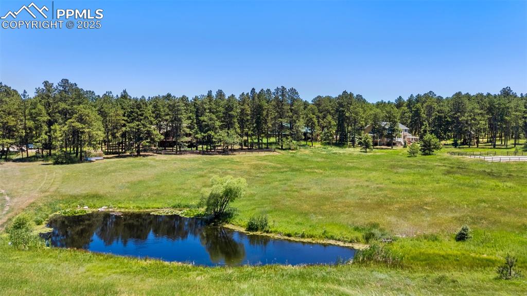 19902 W Elk Creek Drive Colorado Springs CO 80908