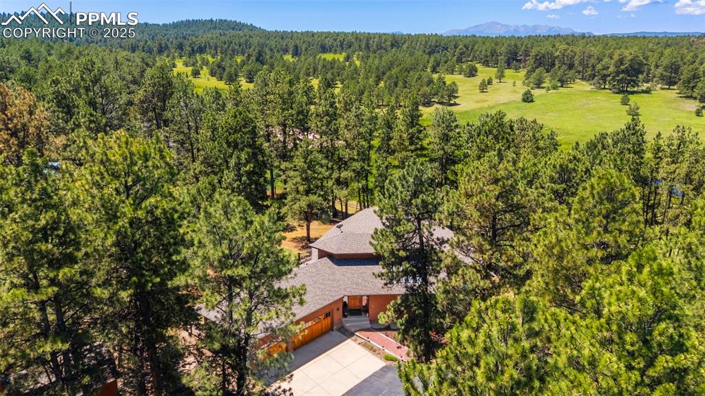 19902 W Elk Creek Drive Colorado Springs CO 80908