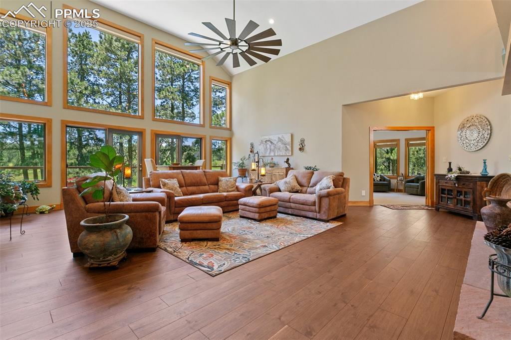 19902 W Elk Creek Drive Colorado Springs CO 80908