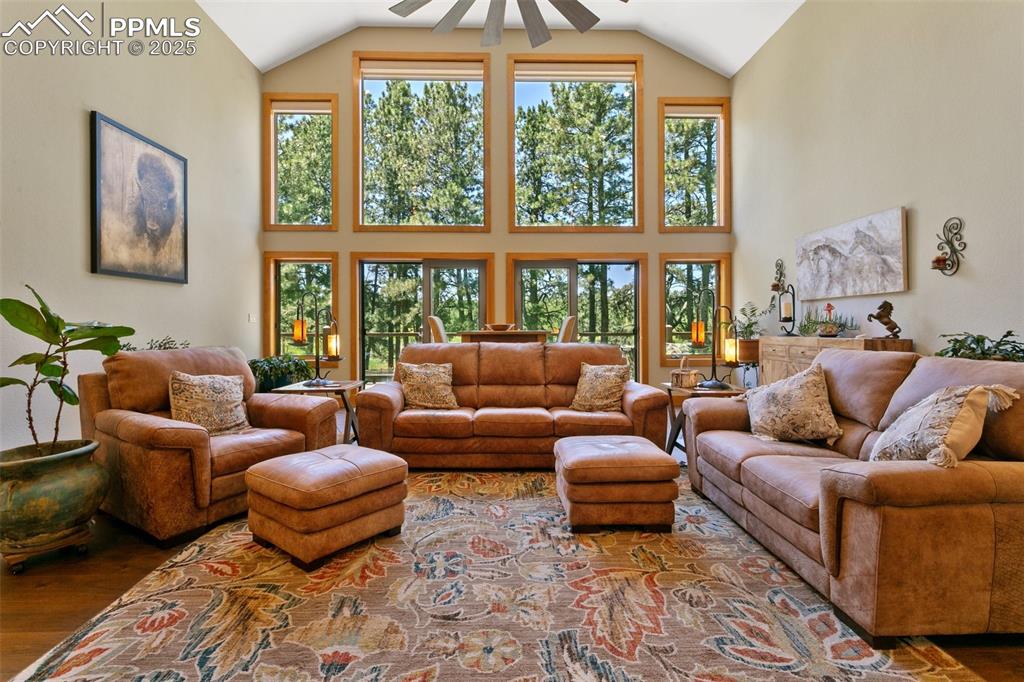 19902 W Elk Creek Drive Colorado Springs CO 80908