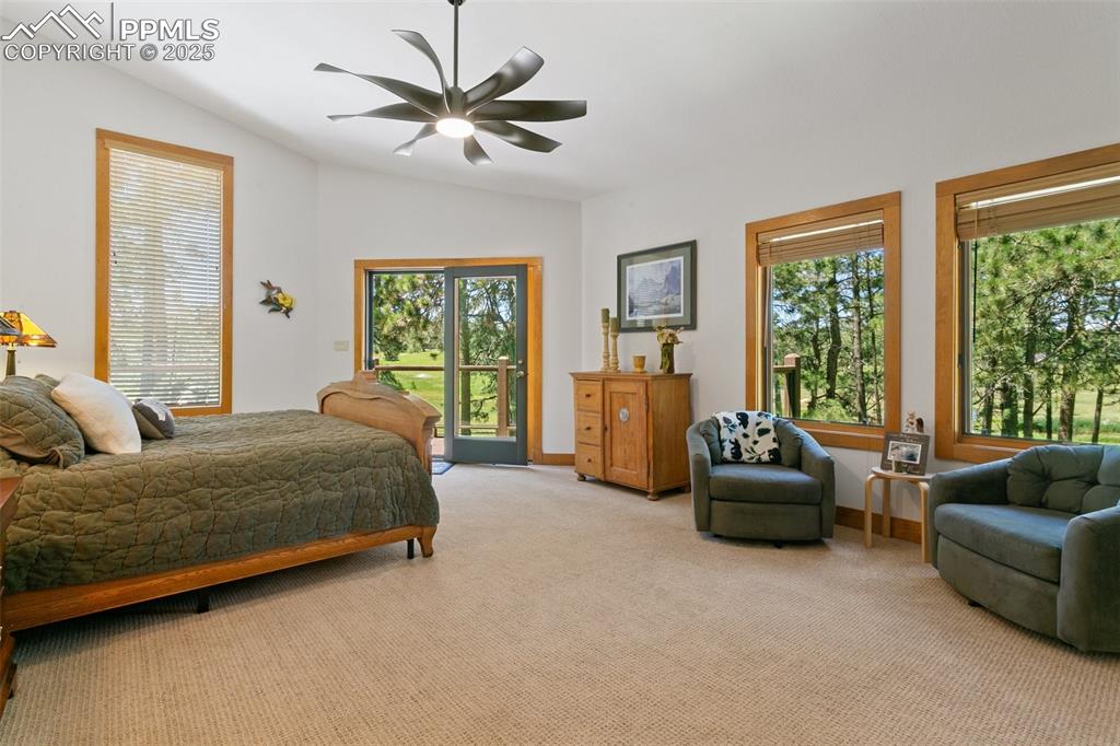 19902 W Elk Creek Drive Colorado Springs CO 80908