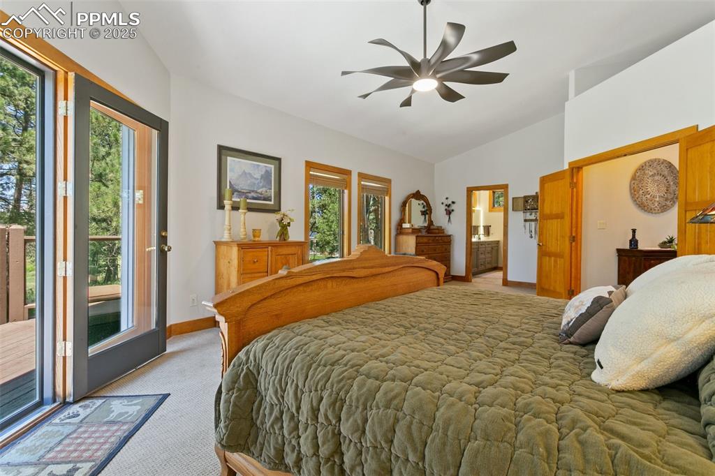 19902 W Elk Creek Drive Colorado Springs CO 80908