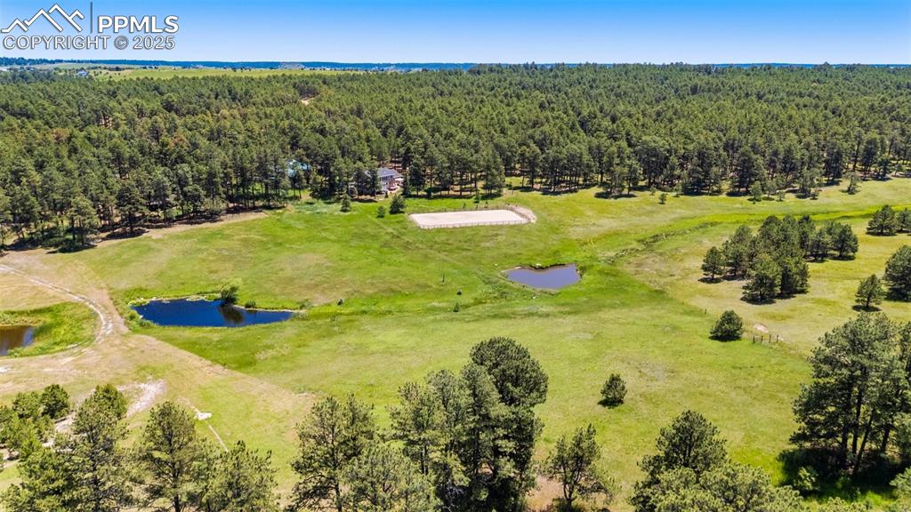 19902 W Elk Creek Drive Colorado Springs CO 80908