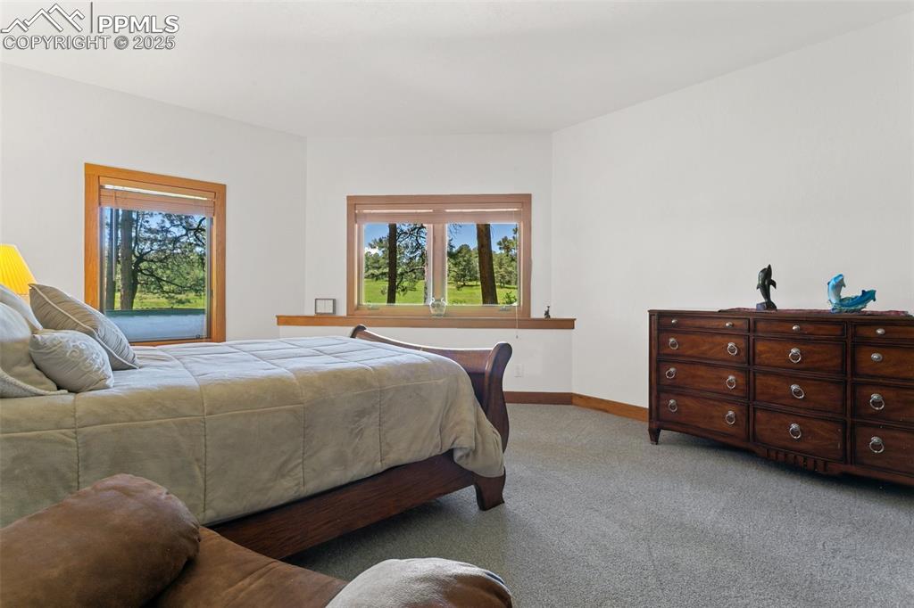 19902 W Elk Creek Drive Colorado Springs CO 80908