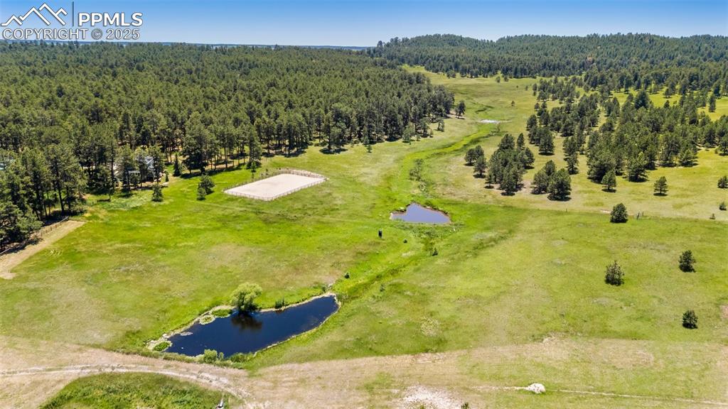 19902 W Elk Creek Drive Colorado Springs CO 80908