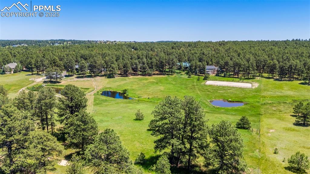 19902 W Elk Creek Drive Colorado Springs CO 80908