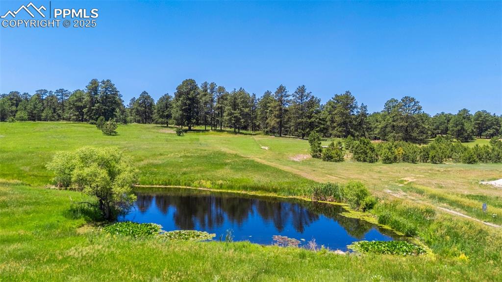 19902 W Elk Creek Drive Colorado Springs CO 80908