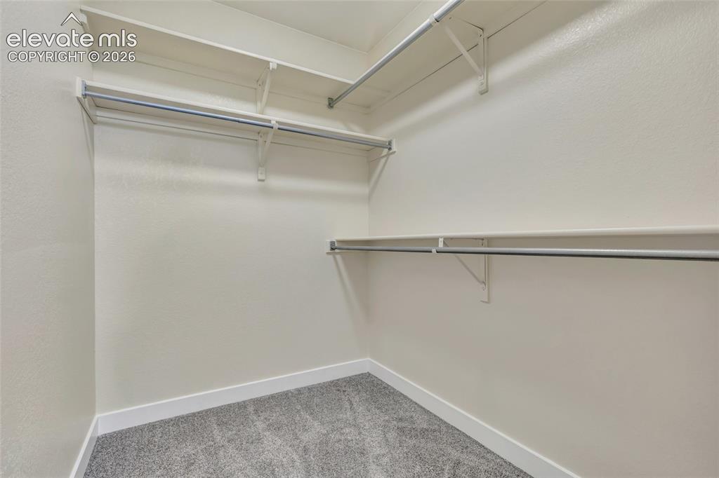 8030 Tally Court Colorado Springs CO 80920