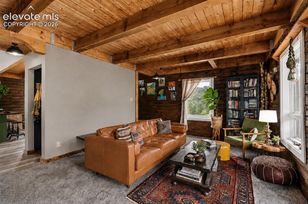 475 Sioux Road Florissant CO 80816