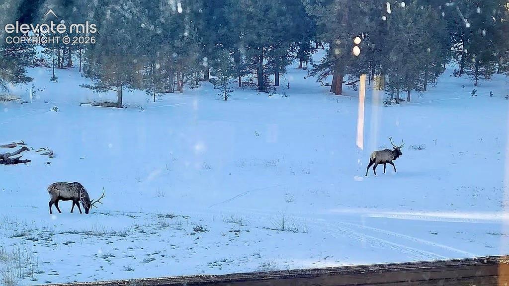 475 Sioux Road Florissant CO 80816