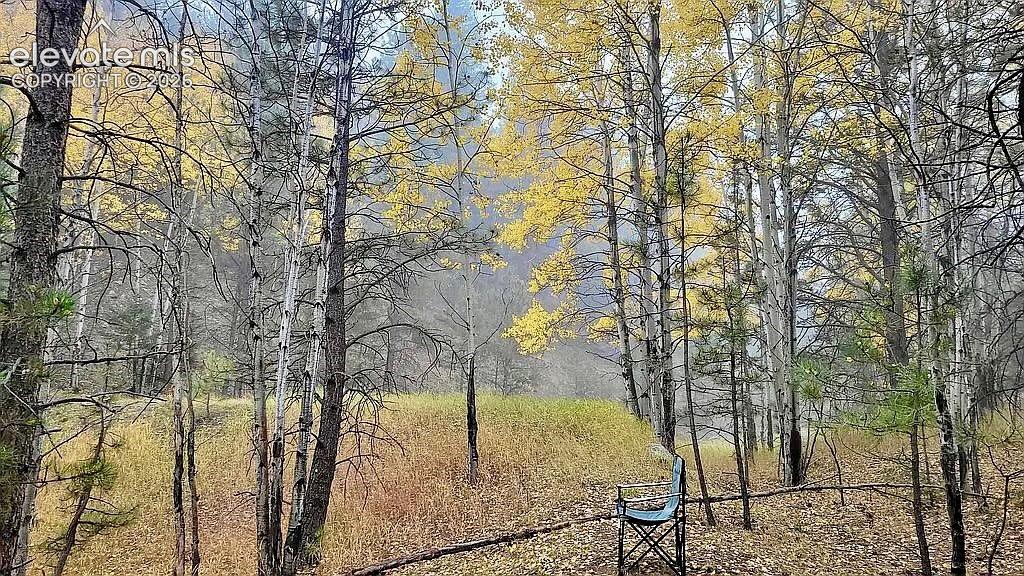 475 Sioux Road Florissant CO 80816