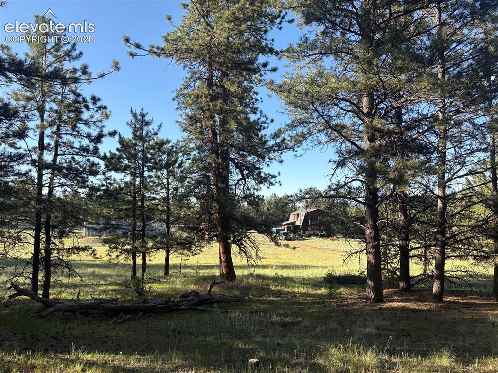 475 Sioux Road Florissant CO 80816