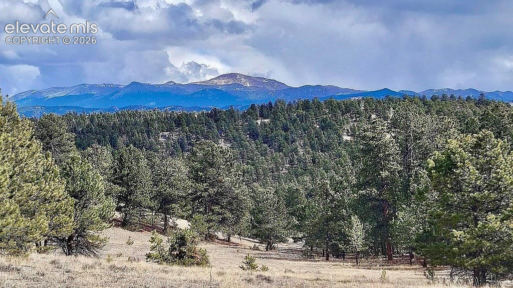 475 Sioux Road Florissant CO 80816