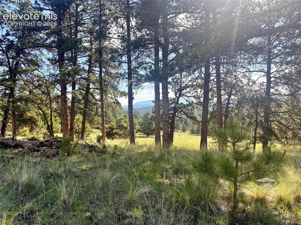 475 Sioux Road Florissant CO 80816