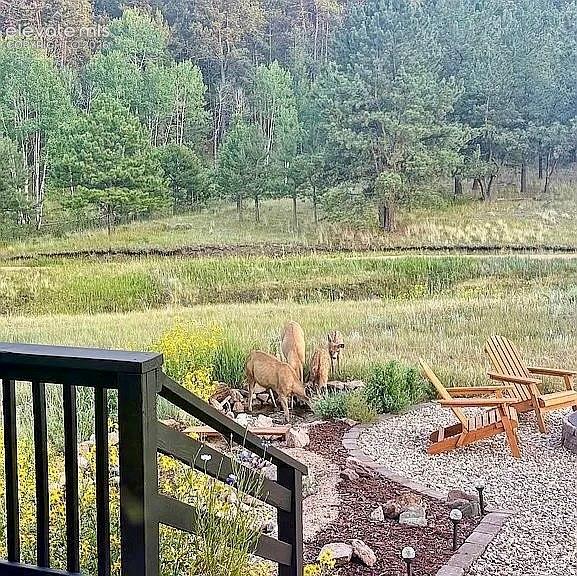 475 Sioux Road Florissant CO 80816