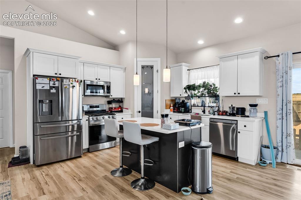 1673 N Calle Rosa Drive Pueblo West CO 81007