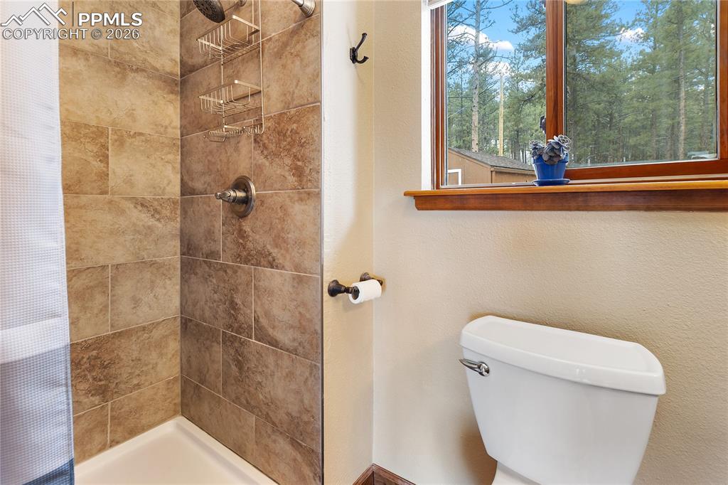 901 Wilson Drive Florissant CO 80816
