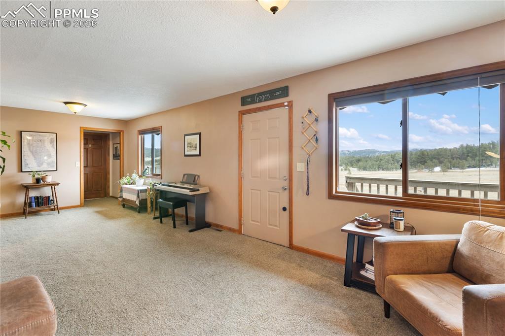 901 Wilson Drive Florissant CO 80816