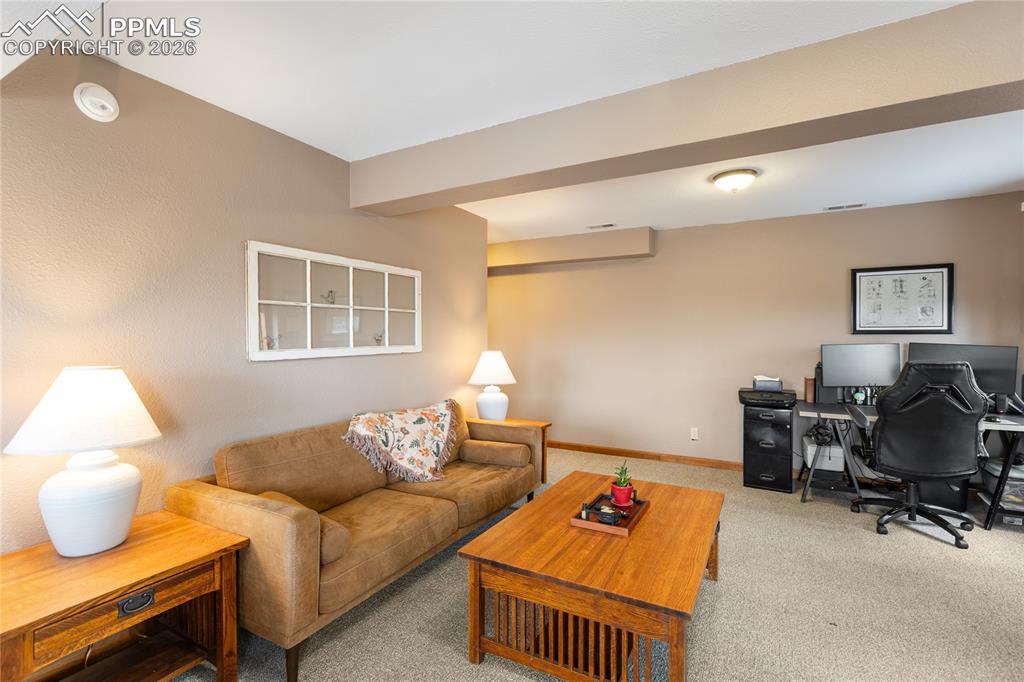 901 Wilson Drive Florissant CO 80816