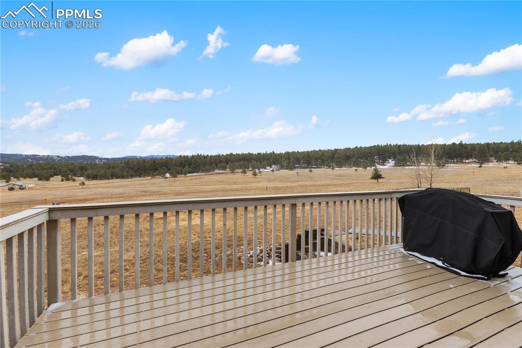 901 Wilson Drive Florissant CO 80816