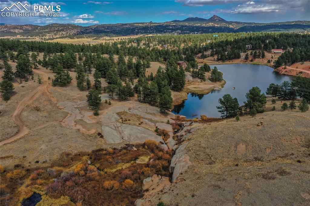 901 Wilson Drive Florissant CO 80816