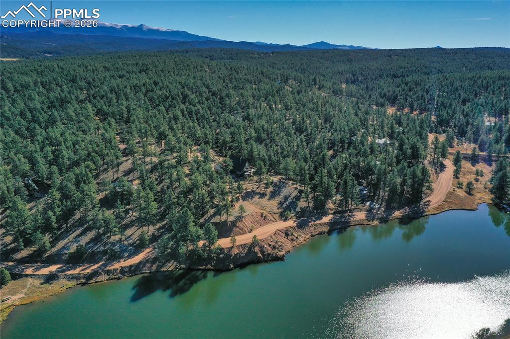 901 Wilson Drive Florissant CO 80816