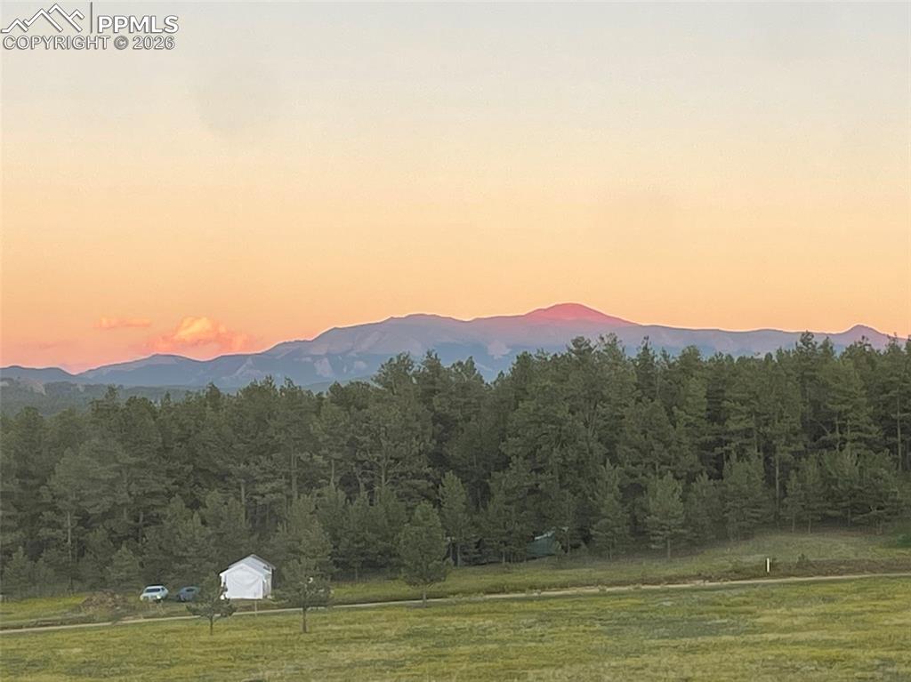 901 Wilson Drive Florissant CO 80816